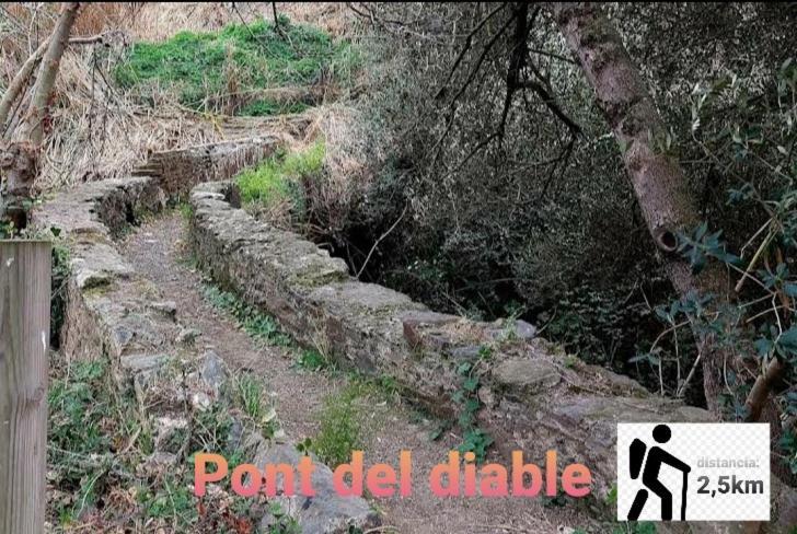 Apartamento En La Costa Del Maresme Pineda de Mar Exteriér fotografie